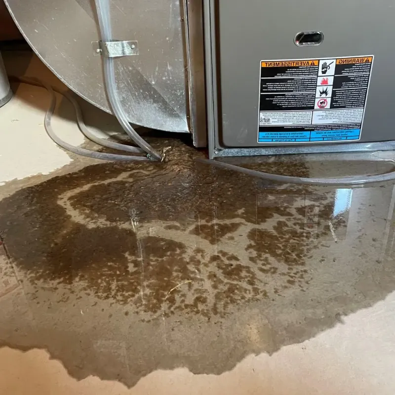 Pipe Burst and Leak Restoration in Harford County, MD